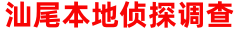 汕尾国晟调查公司